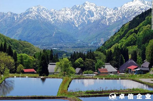 日本消費(fèi)稅（JCT）確立實(shí)行，不合規(guī)賣家將會(huì)面臨罰款
